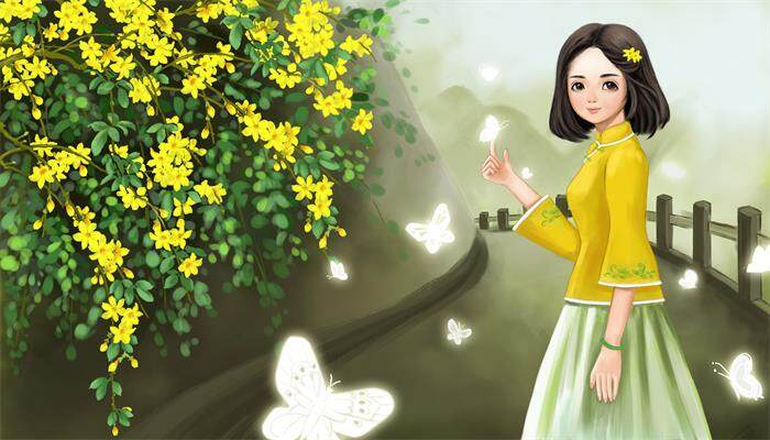 迎春花 迎春花