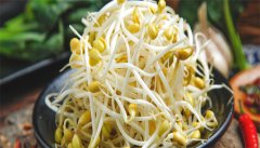 黄豆芽