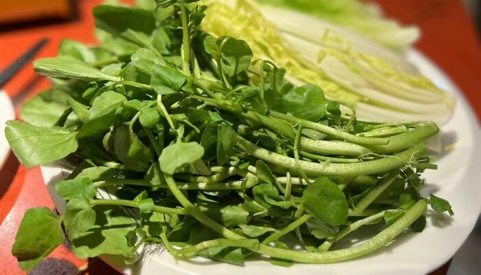 百色西洋菜 百色西洋菜