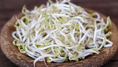豆芽