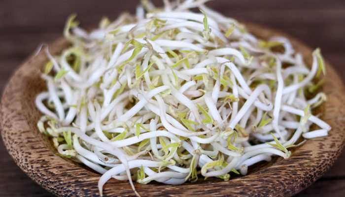 豆芽 豆芽