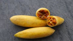香蕉百香果