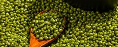 绿豆种植方法