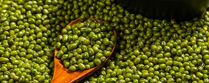 绿豆种植方法 绿豆种植方法