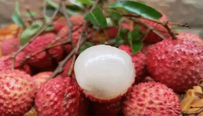 怀枝荔枝 怀枝荔枝