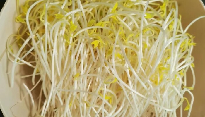 红豆芽 红豆芽