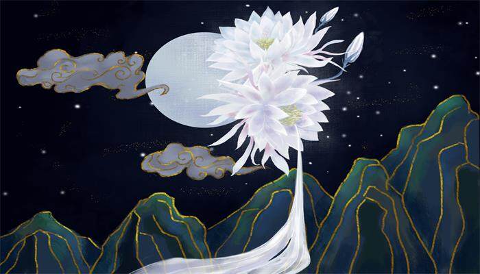 昙花花萼数量 昙花花萼数量