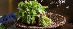 苋菜8月份可以种吗