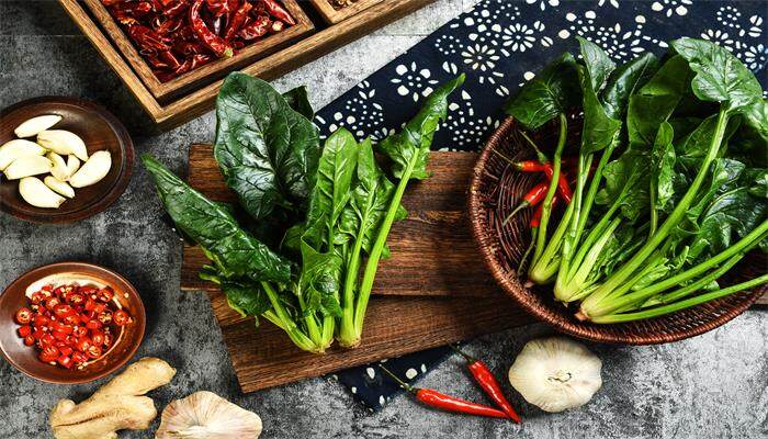 菠菜种子不泡可以种吗 菠菜种子不泡可以种吗