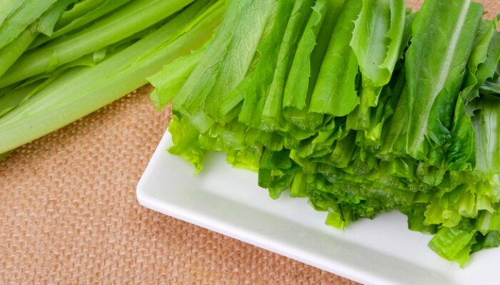 油麦菜 油麦菜