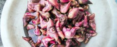 菱角什么时候成熟