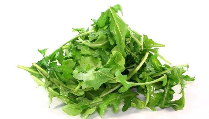 叶用芥菜 叶用芥菜