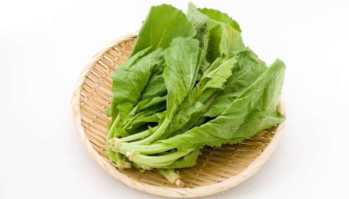 大叶芥菜 大叶芥菜