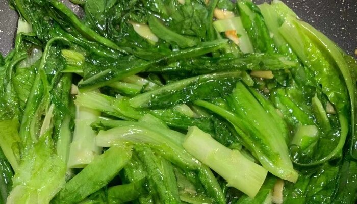 四季香妃油麦菜 四季香妃油麦菜