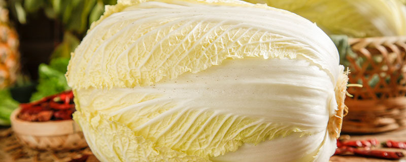大白菜烂帮子用什么药 大白菜烂帮子用什么药