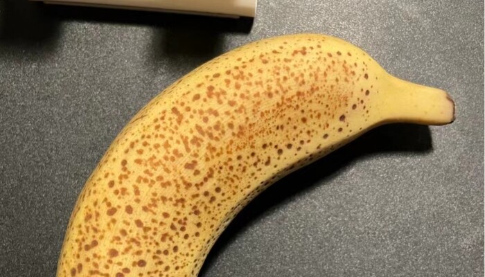 芝麻蕉 芝麻蕉