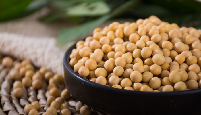 大豆结荚期用什么叶面肥 大豆结荚期用什么叶面肥