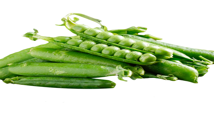 豌豆 豌豆