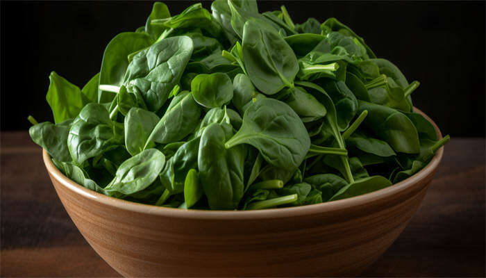 圆叶菠菜 圆叶菠菜