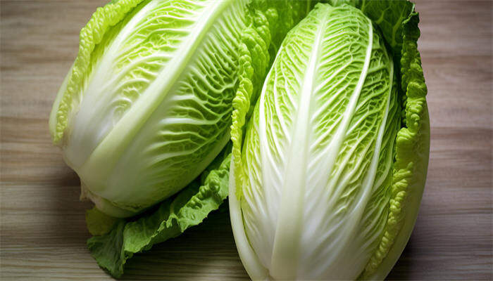 天津绿白菜 天津绿白菜