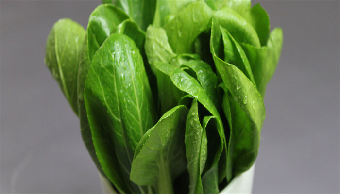 油菜 油菜