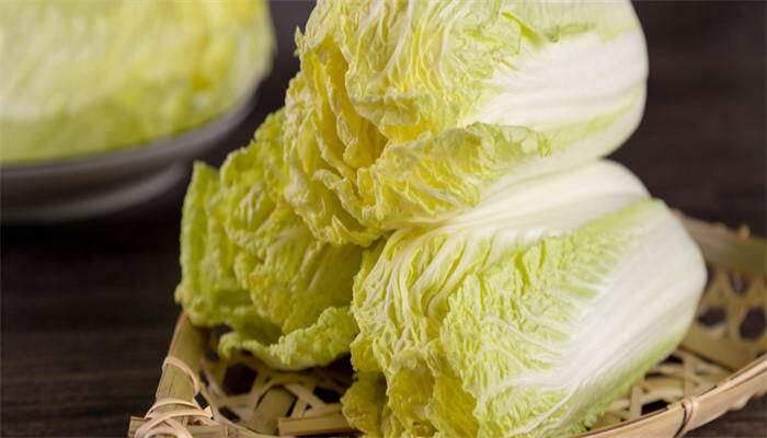 娃娃菜 娃娃菜