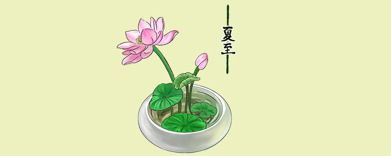 碗莲的养殖方法和注意事项 碗莲的养殖方法和注意事项