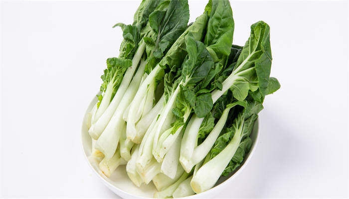 奶白菜 奶白菜