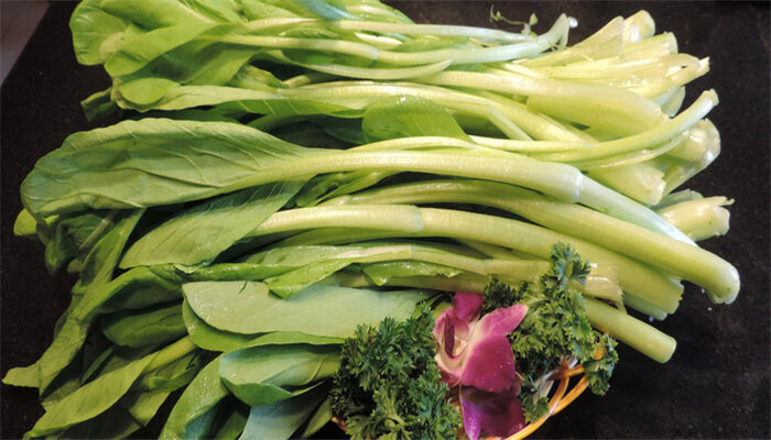 青江白菜 青江白菜