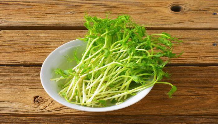 绿豆如何种植 绿豆如何种植