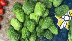大顶苦瓜