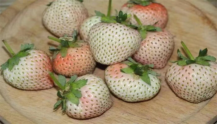 桃熏草莓 桃熏草莓