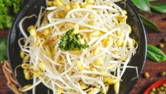 绿豆芽