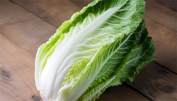 长白菜 长白菜