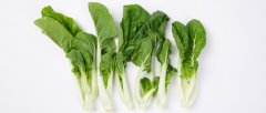 高脚奶白菜