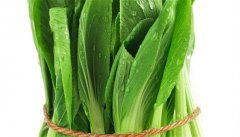 青江菜