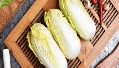 春玉黄娃娃菜