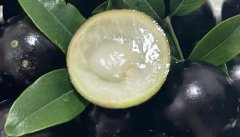 嘉宝果