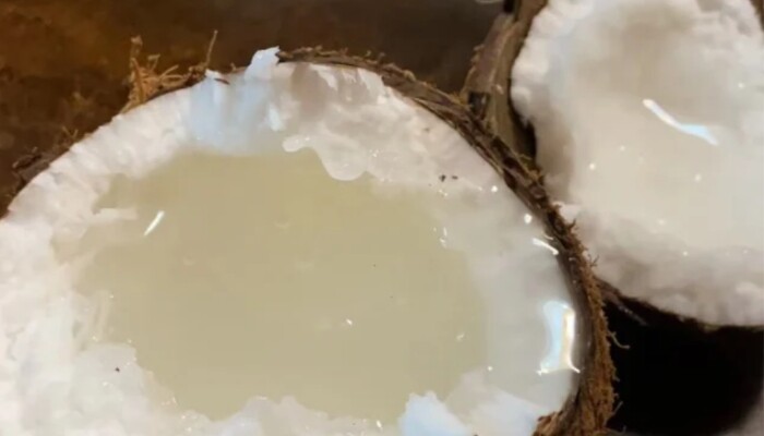 糯米椰子 糯米椰子