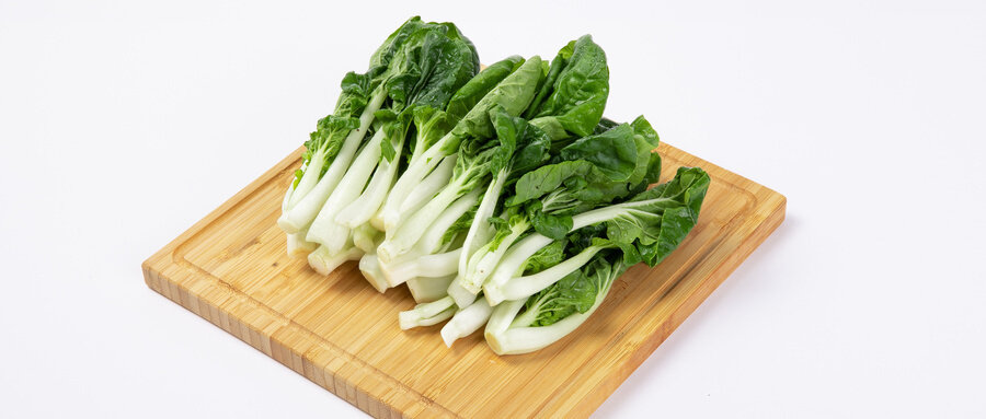 矮脚奶白菜 矮脚奶白菜