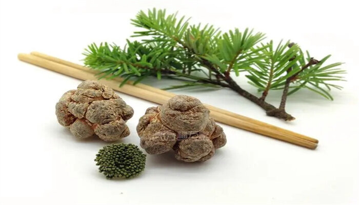 家庭如何种植三七 家庭如何种植三七