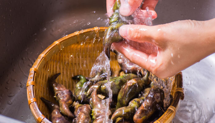 菱角什么时候成熟 菱角什么时候成熟
