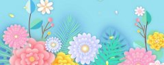 如何辨别花椰菜