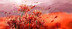 石蒜为什么叫彼岸花
