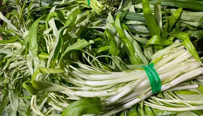 青梗空心菜 青梗空心菜