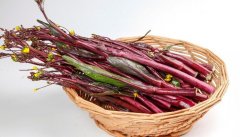 红菜芯