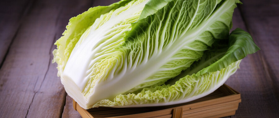 阳春大白菜 阳春大白菜
