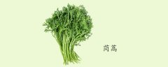 菊花菜和茼蒿的区别