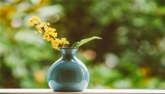 鲜花插花技巧
