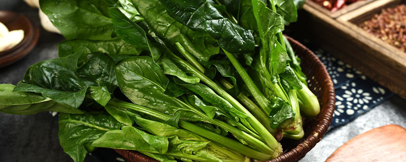 菠菜种子直接撒土里能发芽吗 菠菜种子直接撒土里能发芽吗